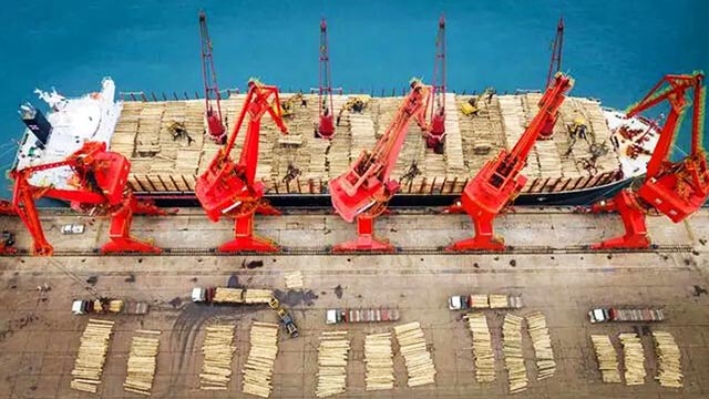 日照港木材接卸量创历史新高，国林怡景防腐木材品质引领市场